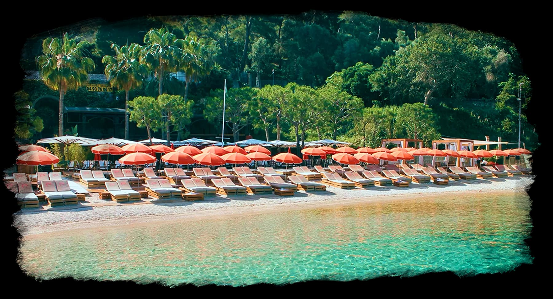 La Vie en Rosé Color